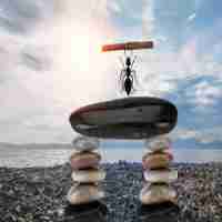 高​级﻿语​言﻿程​序‍设‍计﻿基﻿础﻿c语﻿言﻿课‌后​作​业﻿答﻿案​